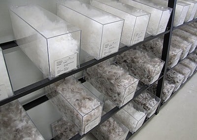 Gewerbeverein Reusstal auf Firmenbesuch