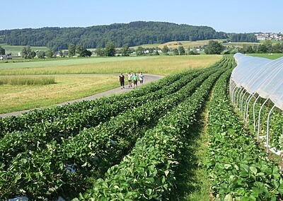 Gewerbeverein Reusstal auf dem Hof